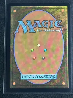 Magic the Gathering MTG Sonic Secret Lair Amy Rose Rainbow Foil SP - Image 2