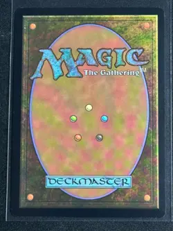 Magic the Gathering MTG Sonic Secret Lair Knuckles the Echidna Rainbow Foil SP 2 - Image 2