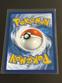 Shining Fates: Shining Vault Dubwool V SV120/SV122 NM Pokemon Card - Image 2