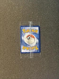 Sealed Charmander - Holo Promo SV: Scarlet & Violet Promo Cards 044 - Image 5