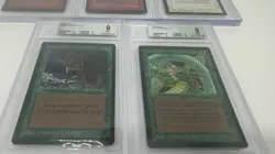 1993 Magic: The Gathering - Limited Edition Beta Quad 9 Lot - Graded - Image 3