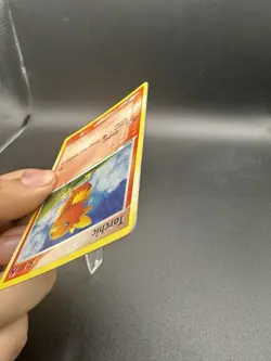 Torchic EX Deck Tin #17 Pokemon Card Promo MP - Image 3
