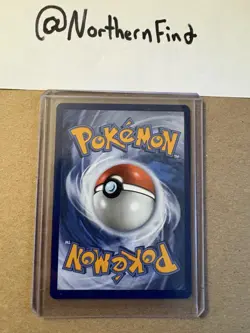 Ascended Heroes Forest Pikachu Ex #276/217 NM SIR Pokemon Card - Image 2