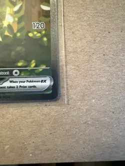 Ascended Heroes Forest Pikachu Ex #276/217 NM SIR Pokemon Card - Image 4