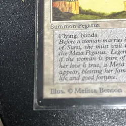 MTG Mesa Pegasus BetaU Magic the Gathering X 2 - Image 5