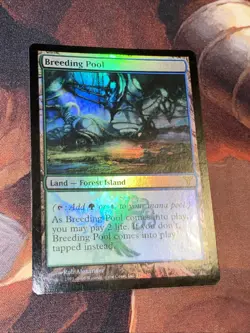 Breeding Pool X1 Mtg Dissension Mp (Slight Water Damage) Foil - Image 1