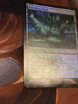 Breeding Pool X1 Mtg Dissension Mp (Slight Water Damage) Foil - Image 3