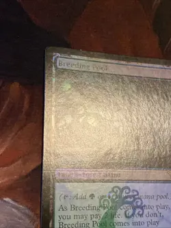 Breeding Pool X1 Mtg Dissension Mp (Slight Water Damage) Foil - Image 4