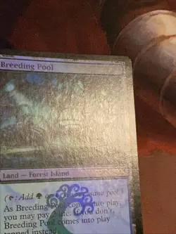 Breeding Pool X1 Mtg Dissension Mp (Slight Water Damage) Foil - Image 5