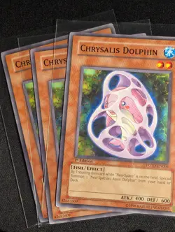 Yugioh - 3x Chrysalis Dolphin POTD-EN006 1st Edition Common NM - Image 1