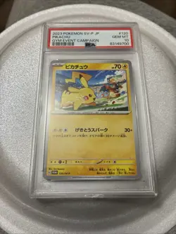 Pokemon 2023 SV-P Promo #120 Pikachu Gym Event Campaign Japanese Rare PSA 10 - Image 4