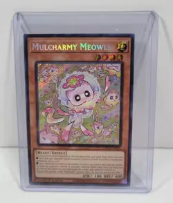 Yugioh! Mulcharmy Meowls - SUDA-EN025 - Secret Rare - 1st Edition Near Mint, Eng - Image 1