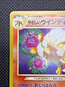 Light Arcanine Holo No.059 Neo Destiny Lightly Played 2001 Pokemon Card Japanese - Image 4