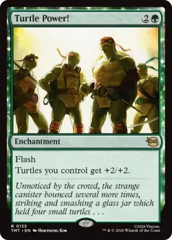 Turtle Power! - Foil - Teenage Mutant Ninja Turtles - Near Mint - Image 1
