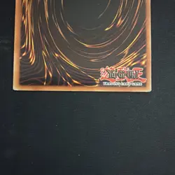 Yu-Gi-Oh! TCG Call Of The Haunted Pharaoh's Servant-Unlimited Edition PSV-EN012 - Image 5