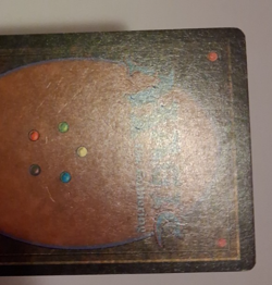Island MP / HP MTG Magic the Gathering Beta Basic Land (A) - Image 5