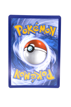 Pokemon TCG Swinub 165/159 Journey Together Illustration Rare IR NM - Image 2