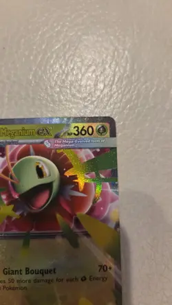 Mega Meganium ex 034 Black Star Promo Ascended Heroes Pokemon TCG NM - Image 3
