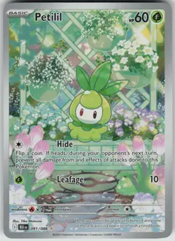 Pokemon Petilil Illustration Rare SV: Black Bolt 091/086 NM - Image 1