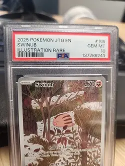 2025 POKEMON JTG EN-JOURNEY TOGETHER ILLUSTRATION RARE #165 SWINUB PSA 10 - Image 2