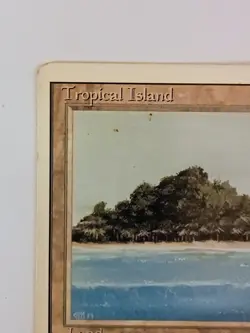 Magic the Gathering Tropical Island Revised Dual Land See Pics For Condition - Image 2