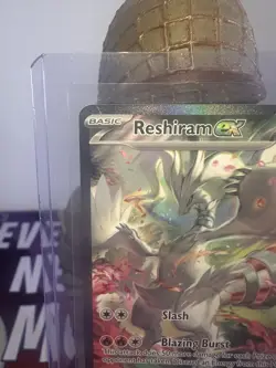 Reshiram ex - 166/086 - Special Illustration Rare - White Flare - Pokemon - NM/M - Image 3