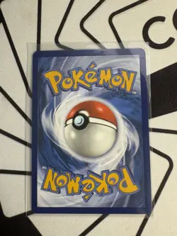 Pokemon Cards Poochyena GG33/GG70 Crown Zenith Galarian Gallery Holo NM - Image 2