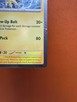 Pokemon TCG Zapdos SVP 157 Scarlet & Violet Black Star Promo Rare NM 2112 - Image 5