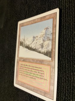 Taiga 1994 Magic: The Gathering Revised (A) - Image 3