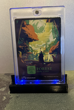 MTG Forest (0291) - The Lost Caverns of Ixalan (LCI) #291 Magic the Gathering - Image 1