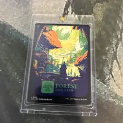 MTG Forest (0291) - The Lost Caverns of Ixalan (LCI) #291 Magic the Gathering - Image 3