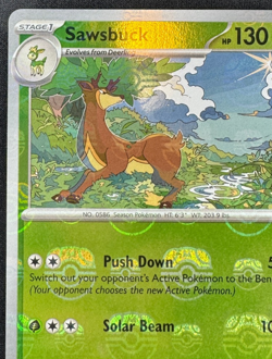 SAWSBUCK 007/086 NM UNCOMMON MASTER BALL PATTERN WHITE FLARE POKEMON 2025 - Image 4