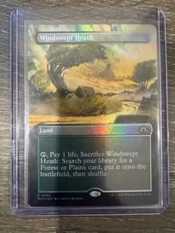 Magic The Gathering Modern Horizons 3 Borderless Foil Windswept Heath #0360 - Image 1