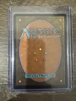 Magic The Gathering Modern Horizons 3 Borderless Foil Windswept Heath #0360 - Image 3