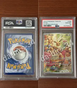 2024 POKEMON TWM EN EEVEE ILLUSTRATION RARE #188 GEM MT PSA 10 - Image 1