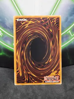 Yugioh Amazoness Chain Master SP1-EN002 Ultra Rare LP - Image 2