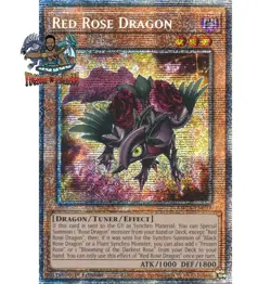 Yugioh! 1x Red Rose Dragon MP25-EN037 Starlight Rare 1st Ed NM - Image 1