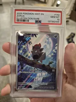 2025 POKEMON WHT EN-WHITE FLARE ILLUSTRATION RARE #142 ZORUA PSA 10 - Image 1