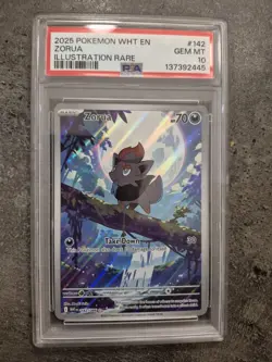 2025 POKEMON WHT EN-WHITE FLARE ILLUSTRATION RARE #142 ZORUA PSA 10 - Image 2