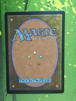 Sapseep Forest 1x MtG Shadowmoor - Image 2