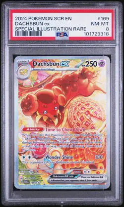 Pokemon Dachsbun ex 169/142 Special Illustration Rare Stellar Crown PSA 8 Holo - Image 1