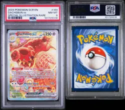 Pokemon Dachsbun ex 169/142 Special Illustration Rare Stellar Crown PSA 8 Holo - Image 3