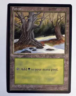 MTG ICE AGE Basic Land Plains Swamp Forest Mountain Island Magic The Gathering - Image 5