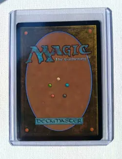 Multiverse Passage #206 (Regular) Borderless SPM Spider-Man MTG NM - Image 2