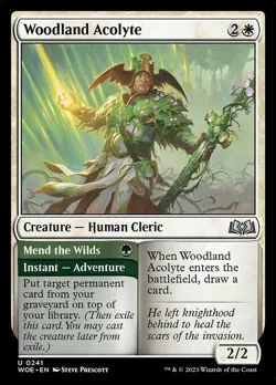 NM Foil Woodland Acolyte, MTG, Wilds of Eldraine, Magic the Gathering, 241 - Image 1