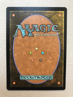 Mtg Carte Magic Secret Lair Dogs Better Arcane Signet FOIL Eng NM - Image 2