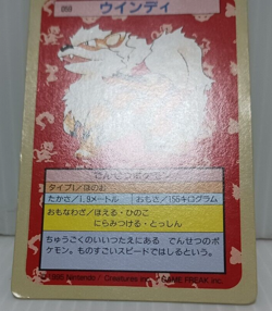 Arcanine Green Back Pokemon Topsun Card Japanese No.059 - Image 5