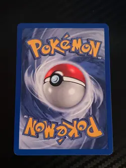 Quilava 51/100 Sandstorm Reverse Holo Pokemon Vintage - Image 4
