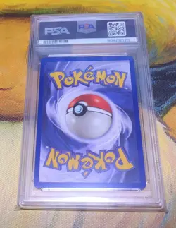 PSA 10 Eevee Black Star JR Stamp Rally 2000 Pokemon Promo English #11 - Image 2