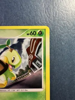 Pokemon TCG Turtwig 17/17 Pop Series 6 Holo - Image 5